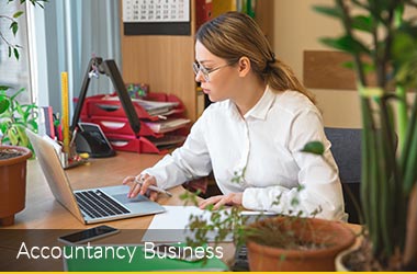 Accountant
